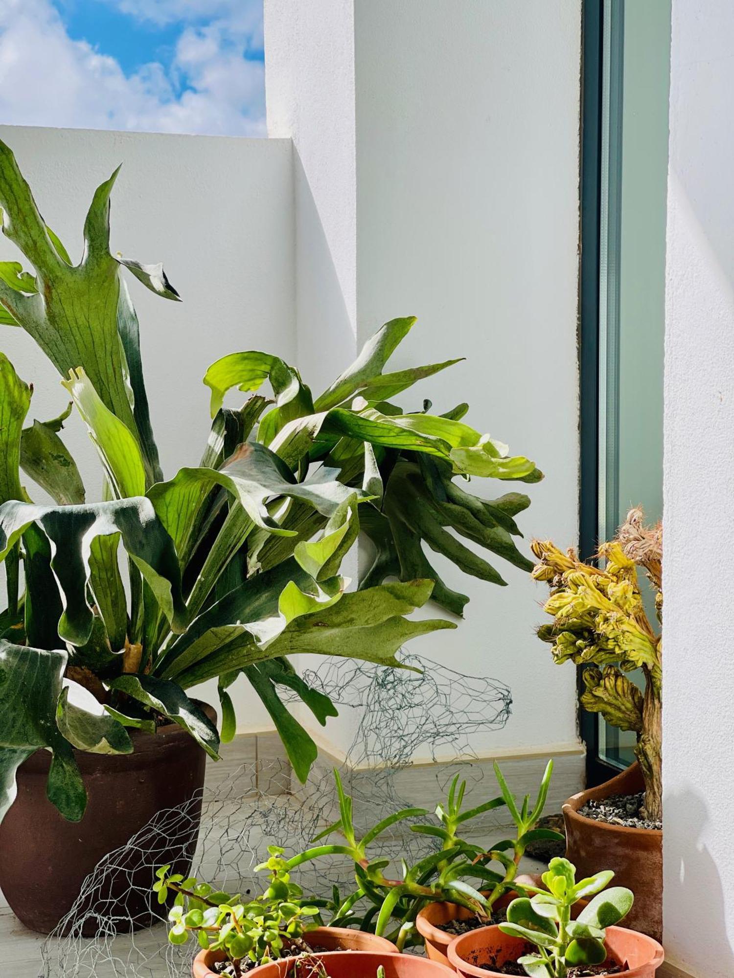 Casa Mirabel Apartment Villaverde  Екстериор снимка